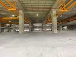 Gul Way (D22), Factory #498544001